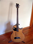 Warwick Alien Acoustic Bass